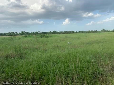 13532 DANCY AVE, CLEWISTON, FL 33440, photo 1 of 5